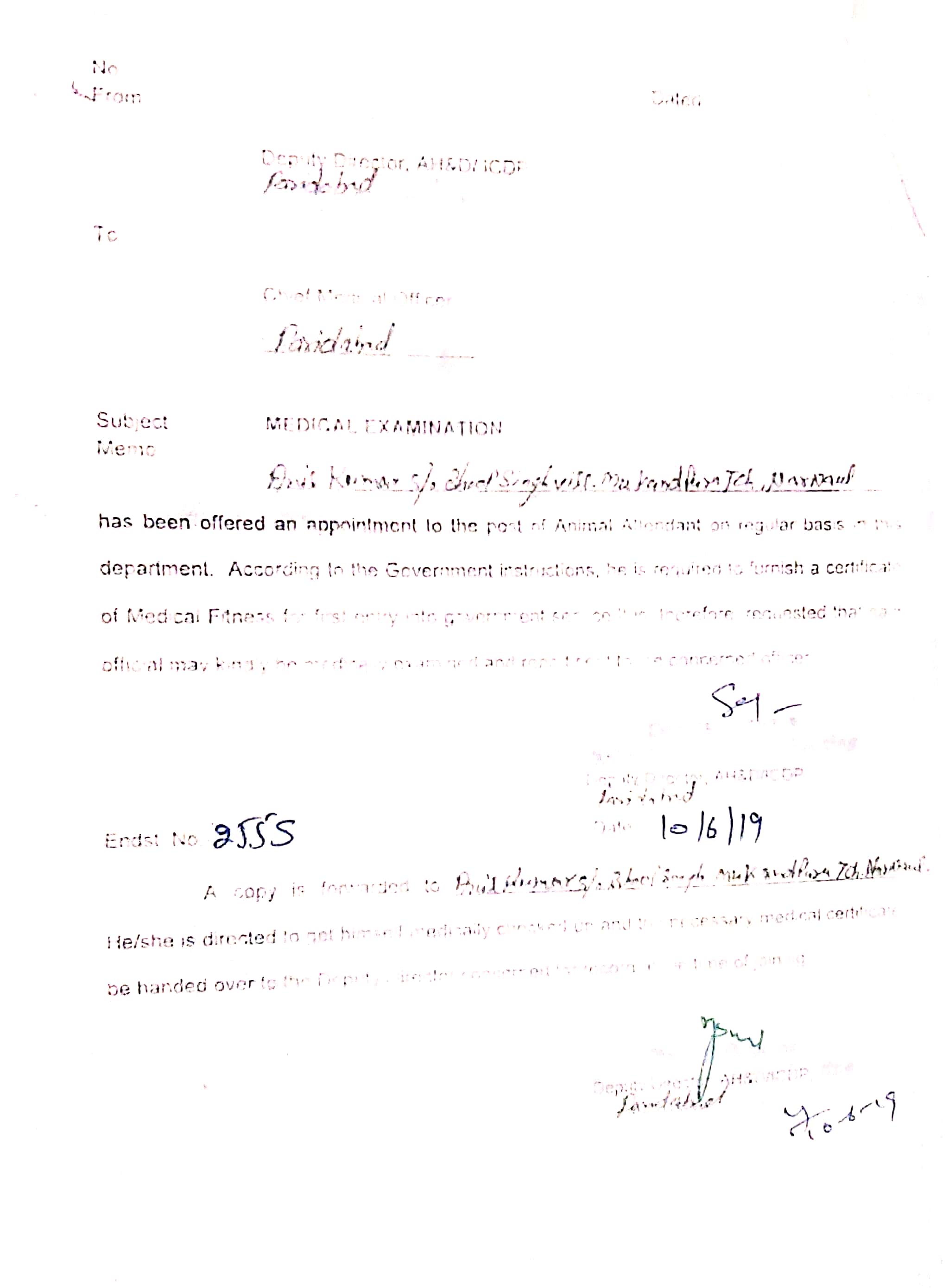 Animal Rescue Faridabad, 2019 Haryana