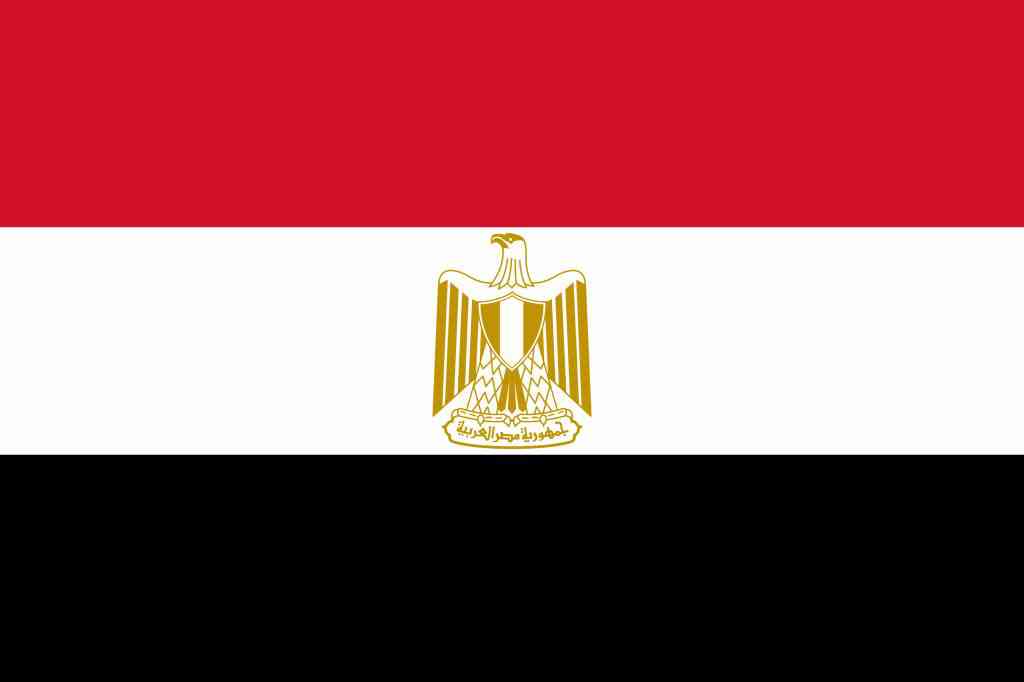  مصرى